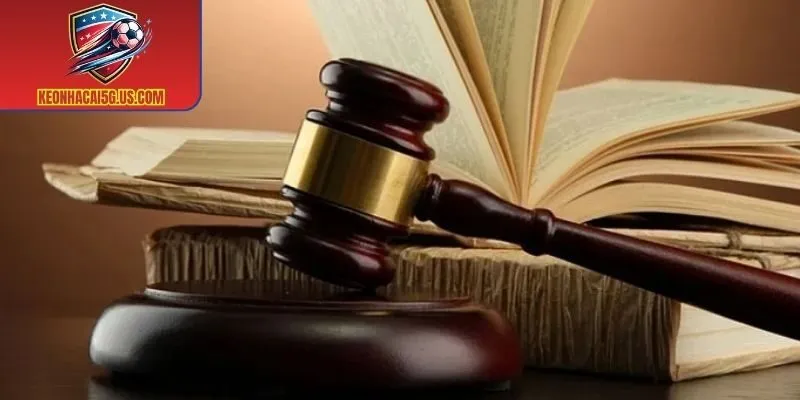 Các rủi ro và trách nhiệm liên quan